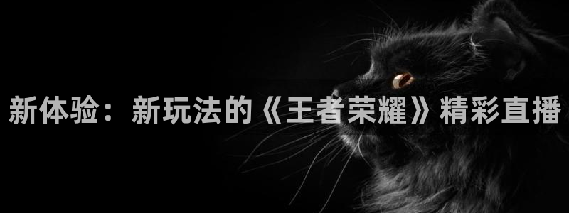高德娱乐平台登录：新体验：新玩法的《王者荣耀》精彩直播