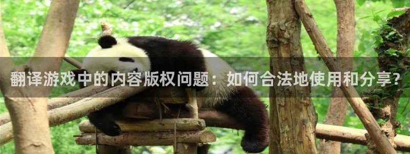 手机高德娱乐下载安装：翻译游戏中的内容版权问题：如何合法地使