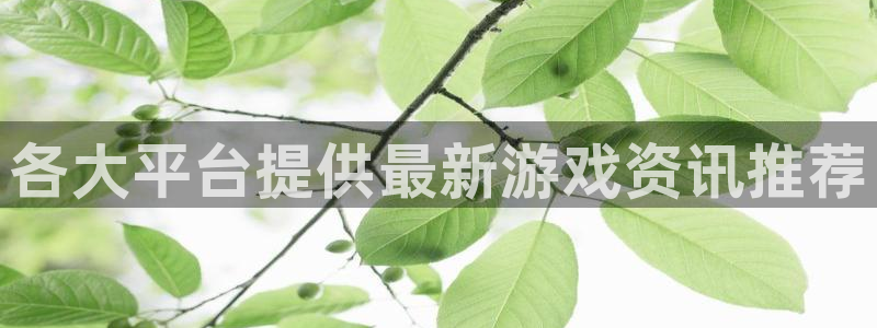 高德娱乐4招商：各大平台提供最新游戏资讯推荐