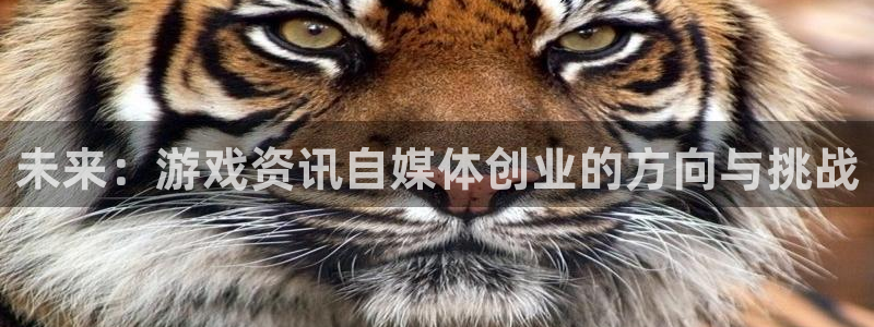 高德娱乐官网登录：未来：游戏资讯自媒体创业的方向与挑战